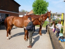 maifahrt_201842_20180514_1964304569