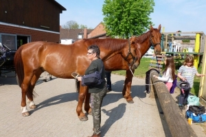 Maifahrt Reiterhof Hunsche in Lienen 2018