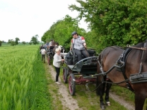 maifahrt_201849_20180514_1729999141
