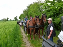 maifahrt_201850_20180514_1715520480