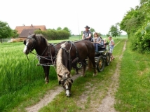 maifahrt_201851_20180514_1795606724
