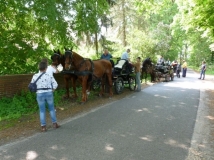 maifahrt_201868_20180514_1472102720