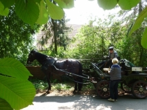 maifahrt_201870_20180514_1639217819