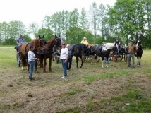 maifahrt_201871_20180514_1782139874