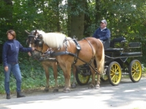 o-fahrt18_20140918_1529705243