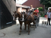 o-fahrt9_20140918_2030790013