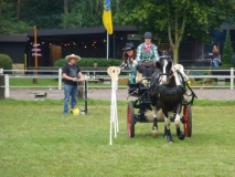 orientierungsfahrt_2015109_20150915_1328083766