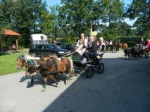 orientierungsfahrt_201512_20150915_1860589114