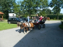 orientierungsfahrt_201513_20150915_1182278370