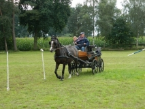 orientierungsfahrt_201519_20150915_1076122807