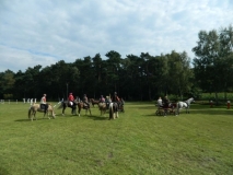 orientierungsfahrt_201522_20150915_2001791959