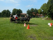 orientierungsfahrt_201527_20150915_1003599942