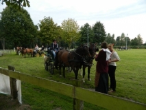 orientierungsfahrt_201539_20150915_1696818203