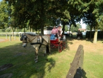 orientierungsfahrt_201613_20160912_1010576871