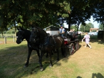 orientierungsfahrt_201615_20160912_1638700672