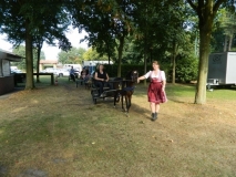 orientierungsfahrt_201623_20160912_1280944708