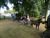 orientierungsfahrt_201624_20160912_2038065293