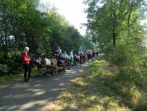 orientierungsfahrt_201626_20160912_1143215389