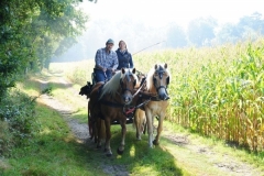 orientierungsfahrt_201641_20160912_1253223610