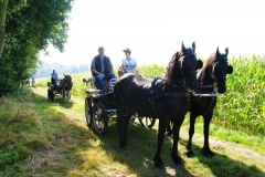 orientierungsfahrt_201644_20160912_1037990573