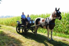 orientierungsfahrt_201645_20160912_1857117554