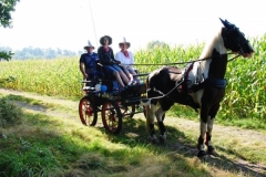 orientierungsfahrt_201648_20160912_1299460260