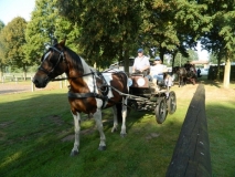 orientierungsfahrt_20168_20160912_1279960435