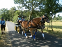 orientierungsfahrt_201694_20160912_1816993687