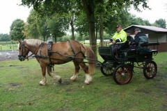 orientierungsfahrt_201729_20170910_1488780436