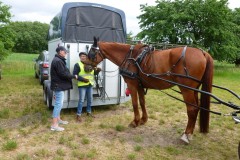Pfingstfahrt-Bippen-2019-010