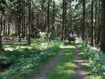 k-Pfingstfahrt-Springhorn-017
