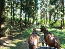 k-Pfingstfahrt-Springhorn-018