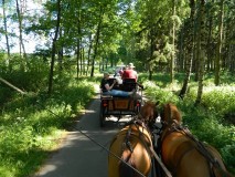k-Pfingstfahrt-Springhorn-019