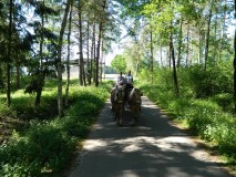 k-Pfingstfahrt-Springhorn-020