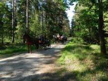k-Pfingstfahrt-Springhorn-021