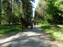 k-Pfingstfahrt-Springhorn-022
