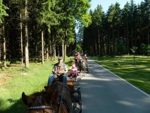 k-Pfingstfahrt-Springhorn-023