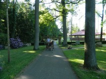 k-Pfingstfahrt-Springhorn-027
