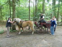 k-Pfingstfahrt-Springhorn-090