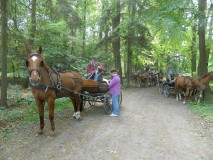 k-Pfingstfahrt-Springhorn-091