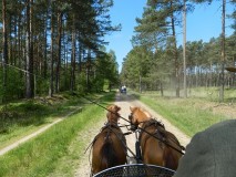 k-Pfingstfahrt-Springhorn-092