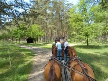 k-Pfingstfahrt-Springhorn-093