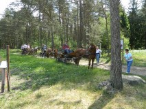 k-Pfingstfahrt-Springhorn-105