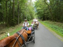 k-Pfingstfahrt-Springhorn-118