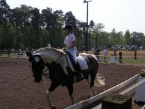 Reittunier-2011-001