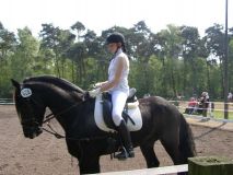 Reittunier-2011-002