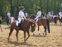 Reittunier-2011-004