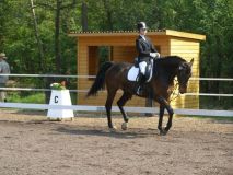 Reittunier-2011-006