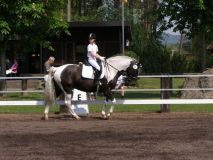 Reittunier-2011-007