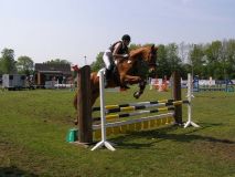 Reittunier-2011-009